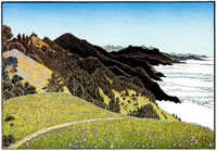 Timber Top, Big Sur by Tom Killion