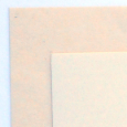 Pansion Paper