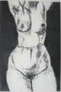 Female Torso