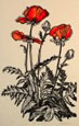 Poppies Three