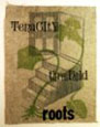 Tennacity (by Book Bombs, with Mary Tasillo)