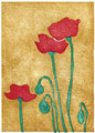 Poppies