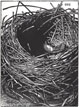 Empty Nest III