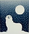 Snow Seal