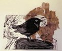 Wee Bird