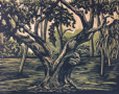 Tomoka River Tree