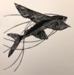 Flying Fish