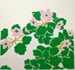 Rue Anemone