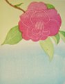 Camellia