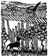 Dog and Bird