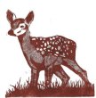 Fawn