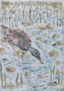 Dabbling Mallard