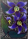 Nightshade