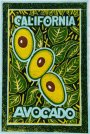 Avacado