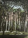 The Birches