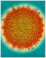 The Sun
