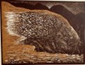 Perturbed Porcupine DEF-CON 4