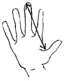 hand measurement drawing